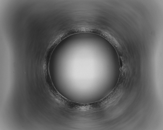 X0000116440306200912151245