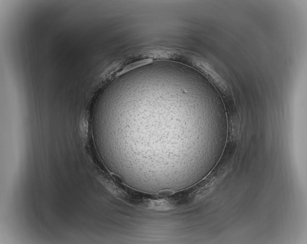 X0000116440309200912151245