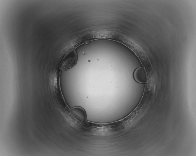 X0000116440310200912151245