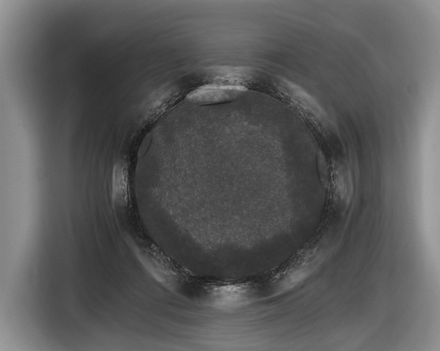 X0000116440312200912151245