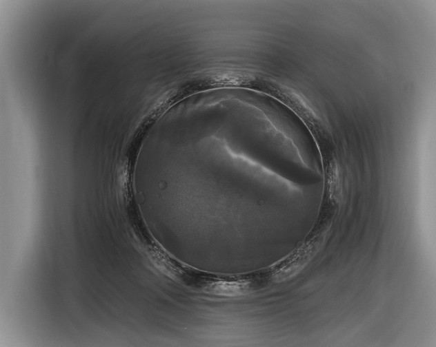 X0000116440314200912151245