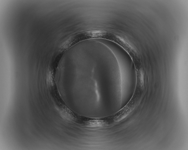 X0000116440316200912151245