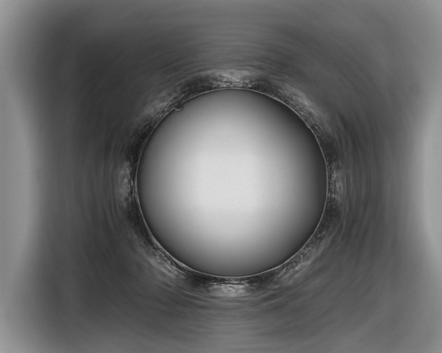 X0000116440318200912151245