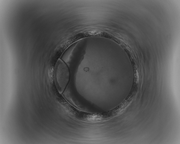 X0000116440319200912151245