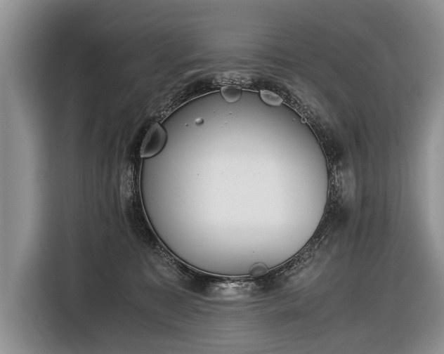 X0000116440323200912151245