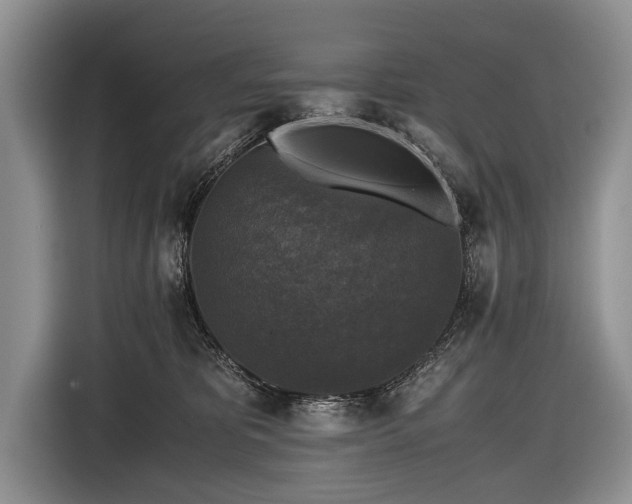X0000116440325200912151245