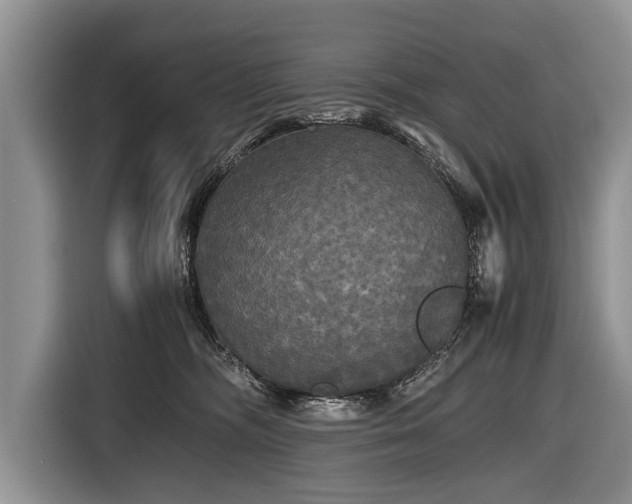 X0000116440326200912151245