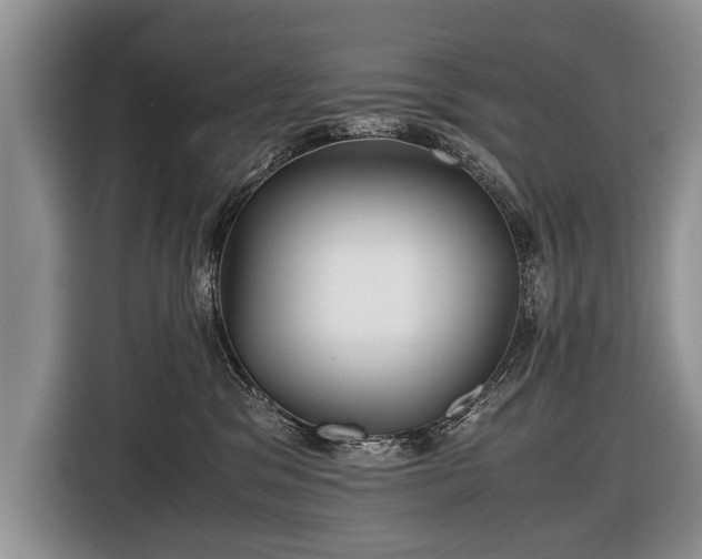 X0000116440329200912151245