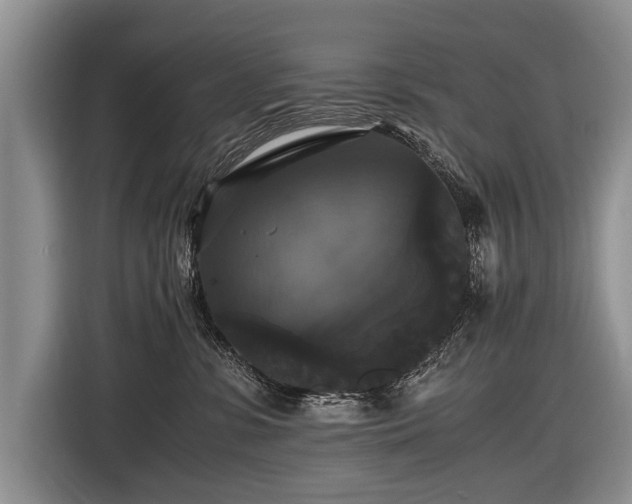 X0000116440331200912151245