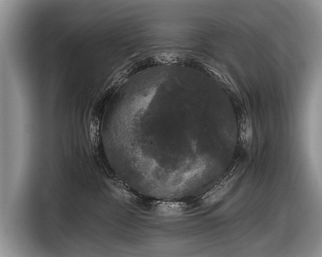 X0000116440332200912151245