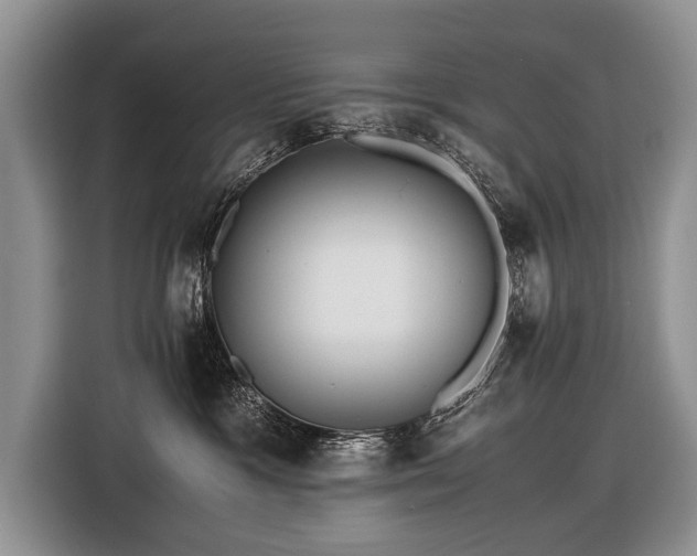 X0000116440333200912151245