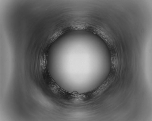 X0000116440334200912151245