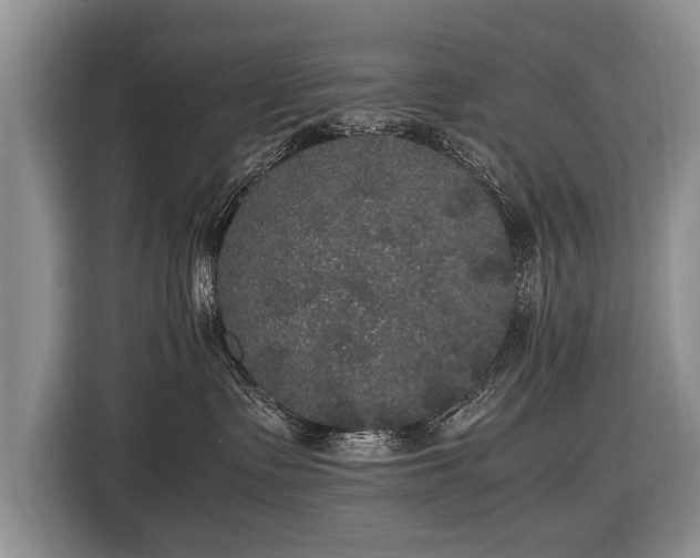 X0000116440335200912151245