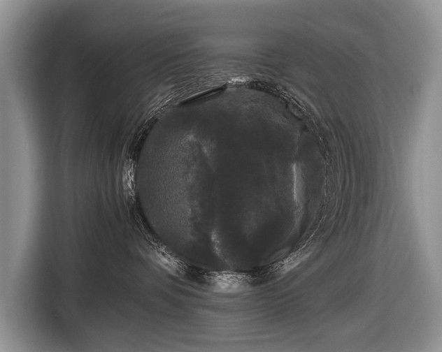 X0000116440336200912151245