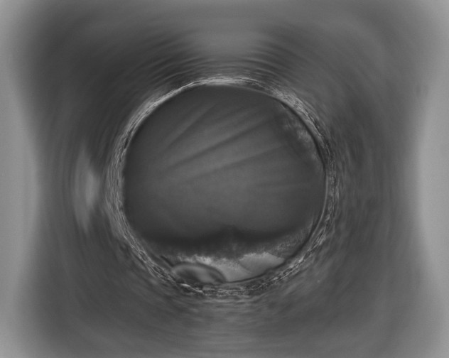 X0000116440337200912151244