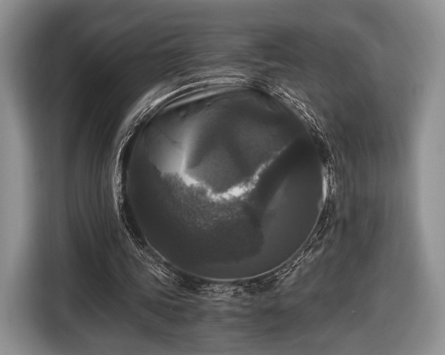 X0000116440339200912151244