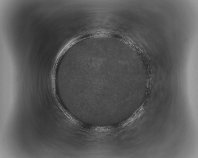 X0000116440341200912151244