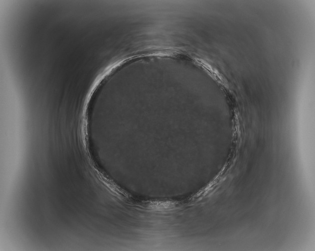 X0000116440342200912151244