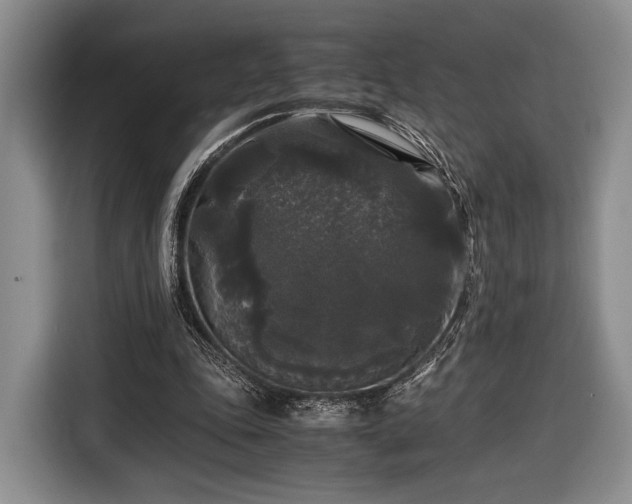 X0000116440343200912151244