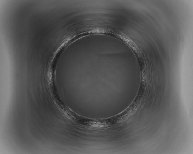X0000116440347200912151244