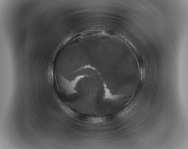 X0000116440349200912151244