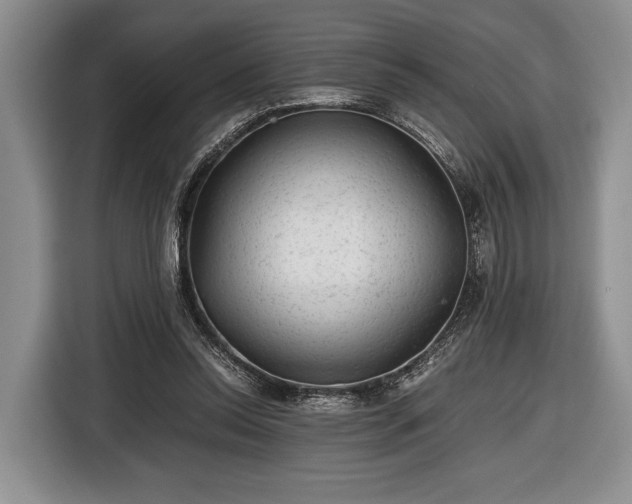 X0000116440350200912151244