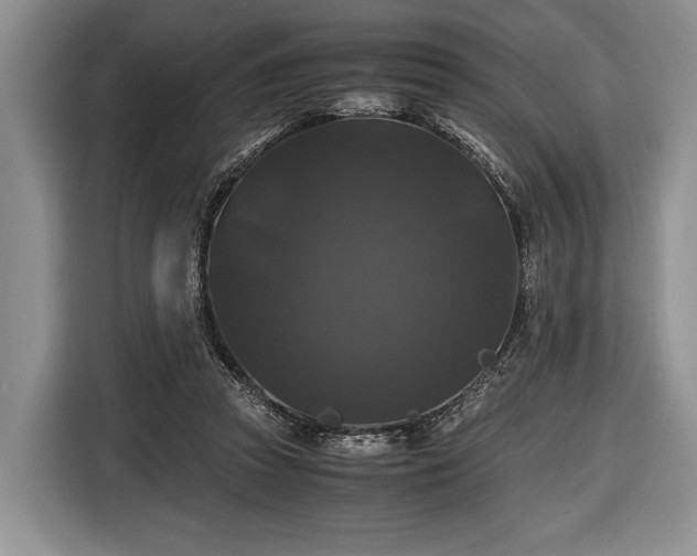 X0000116440353200912151244