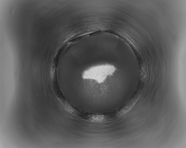 X0000116440355200912151244