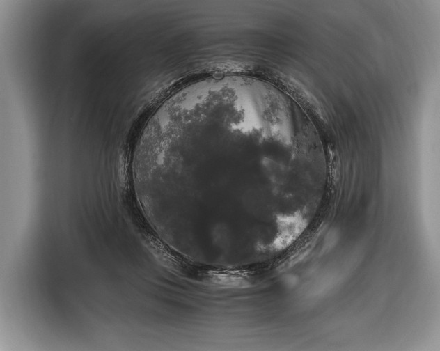 X0000116440359200912151245