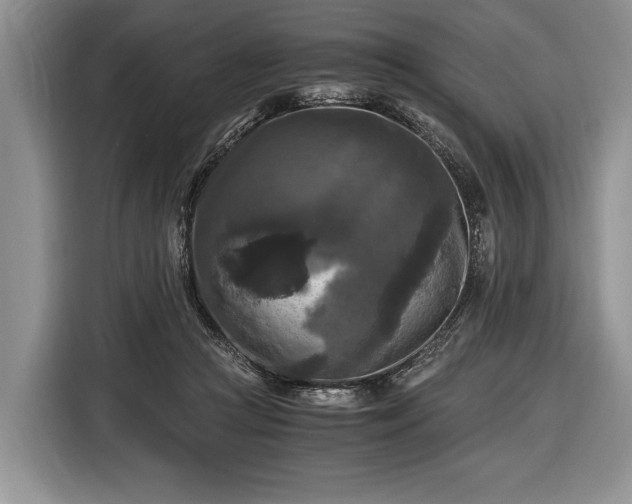 X0000116440361200912151245