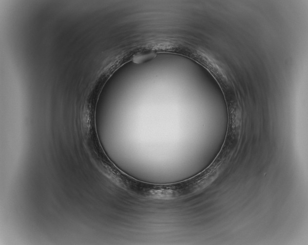 X0000116440362200912151245