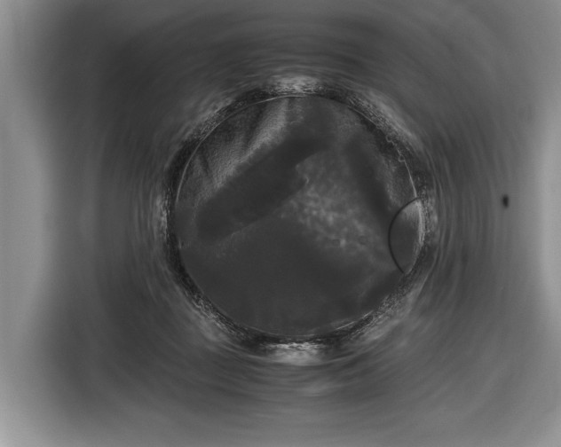 X0000116440363200912151245