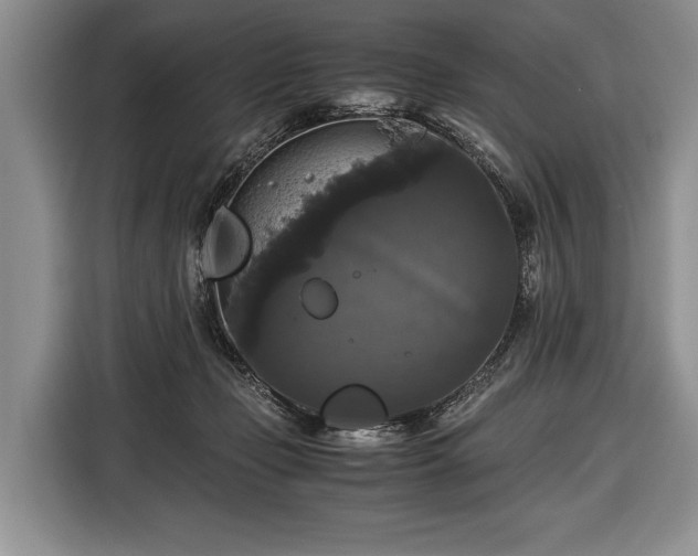 X0000116440365200912151245