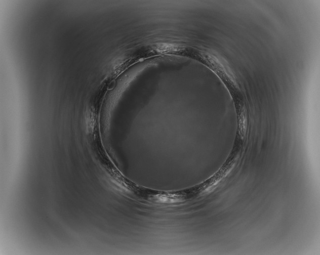 X0000116440367200912151245