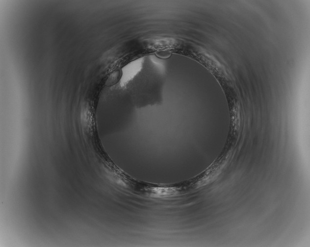 X0000116440371200912151245
