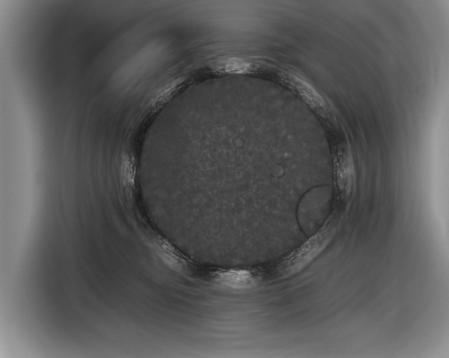 X0000116440374200912151245
