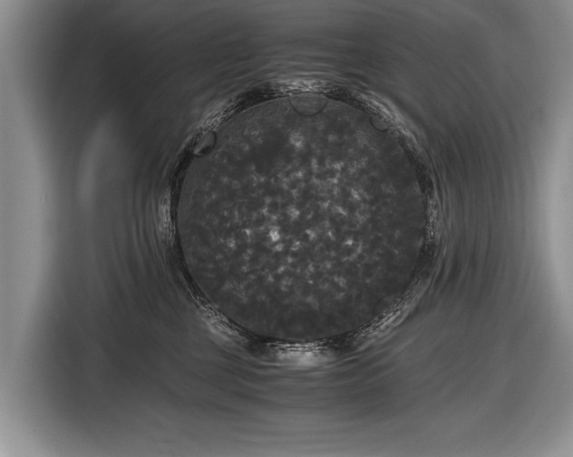 X0000116440377200912151245
