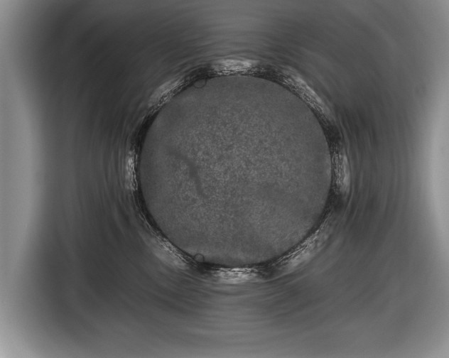 X0000116440378200912151245