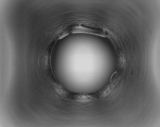 X0000116440379200912151245
