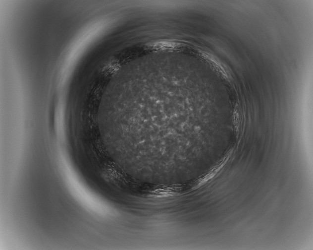 X0000116440381200912151245