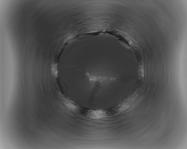 X0000116440383200912151245