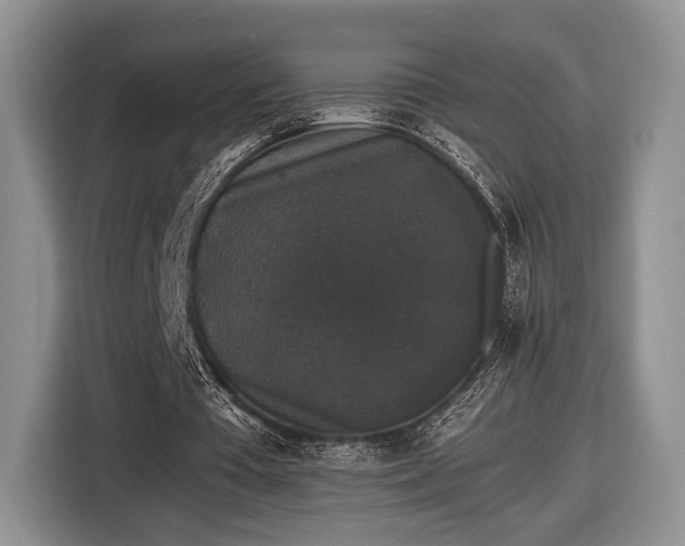 X0000116440385200912151244