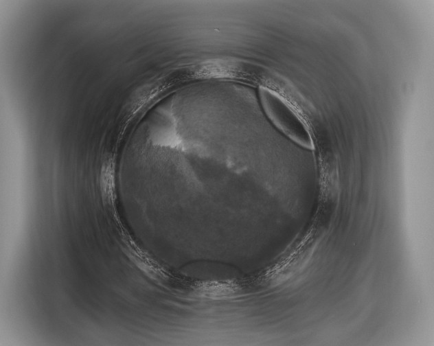 X0000116440386200912151244