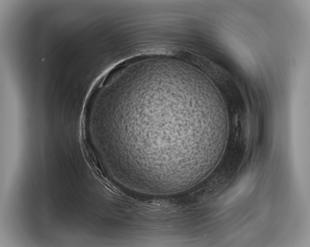 X0000116440388200912151244