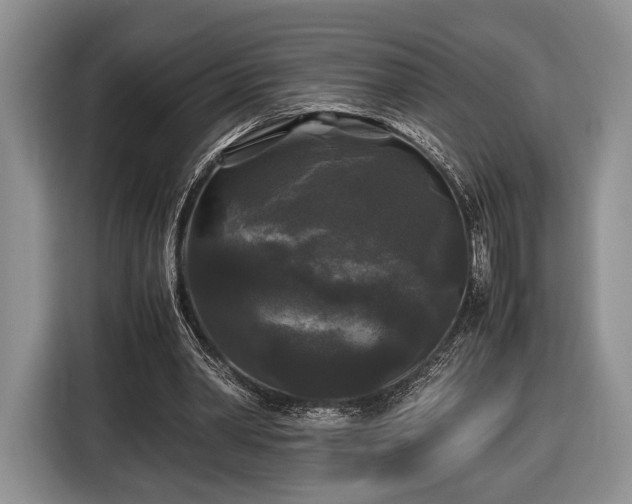 X0000116440390200912151244