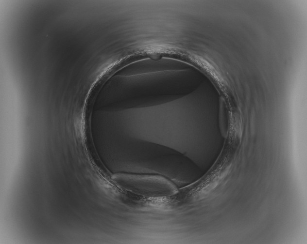 X0000116440391200912151244