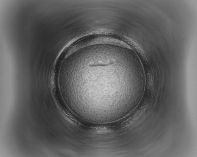 X0000116440392200912151244