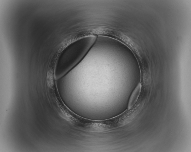 X0000116440393200912151244