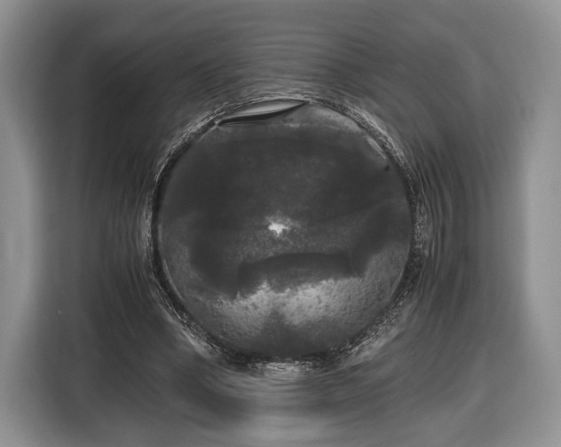 X0000116440394200912151244