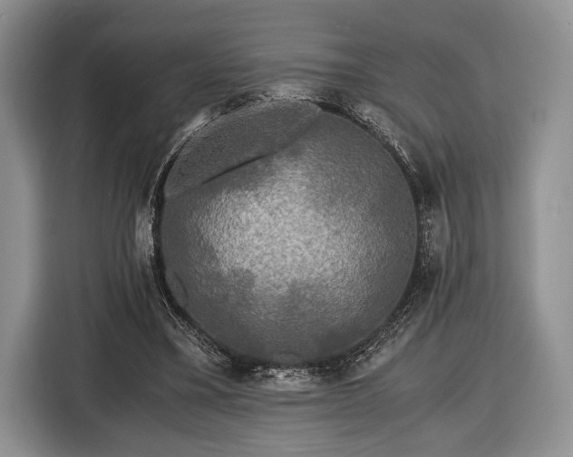 X0000116440395200912151244